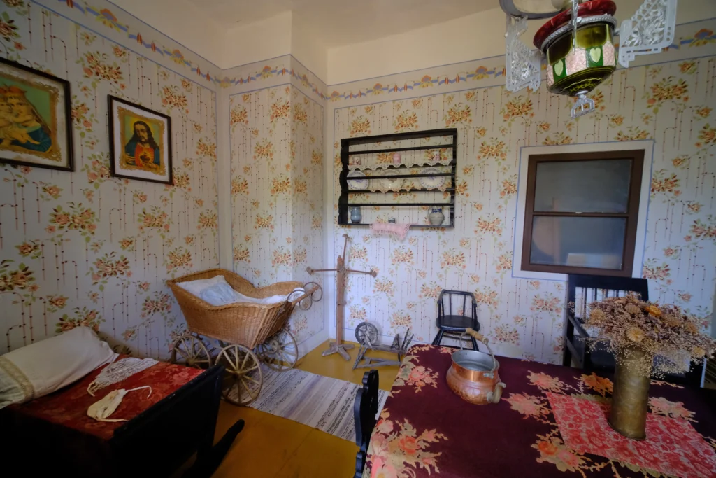 Casa Memorială ”Nikolaus Lenau”