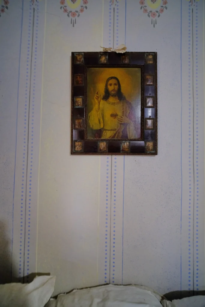 Casa Memorială ”Nikolaus Lenau”