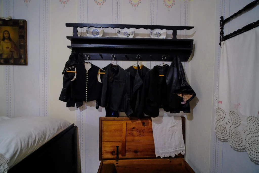 Casa Memorială ”Nikolaus Lenau”
