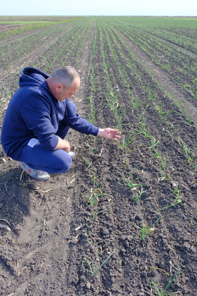 Doboșan Ciprian Gabriel, producător agricol