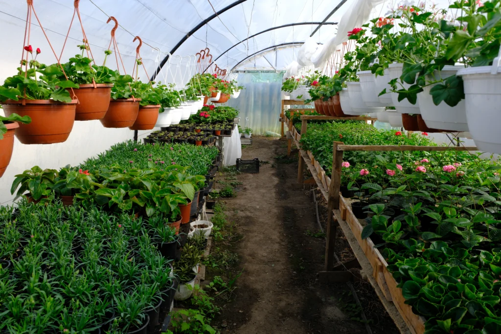 Doboșan Ciprian Gabriel, producător agricol
