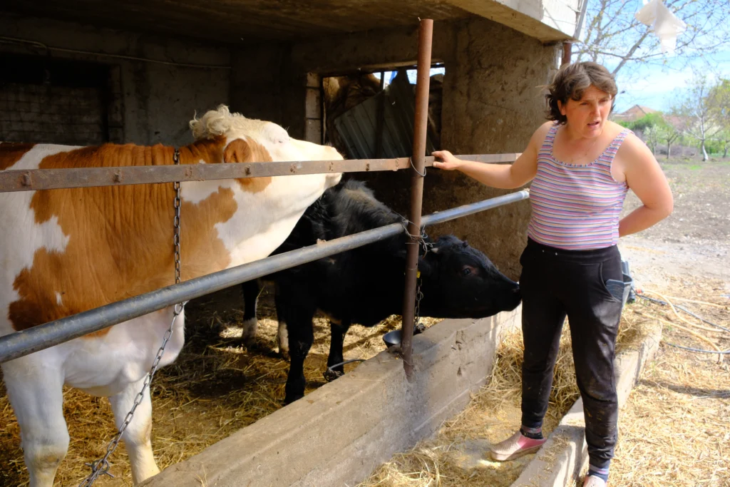 Liga Nicoleta, crescător de animale