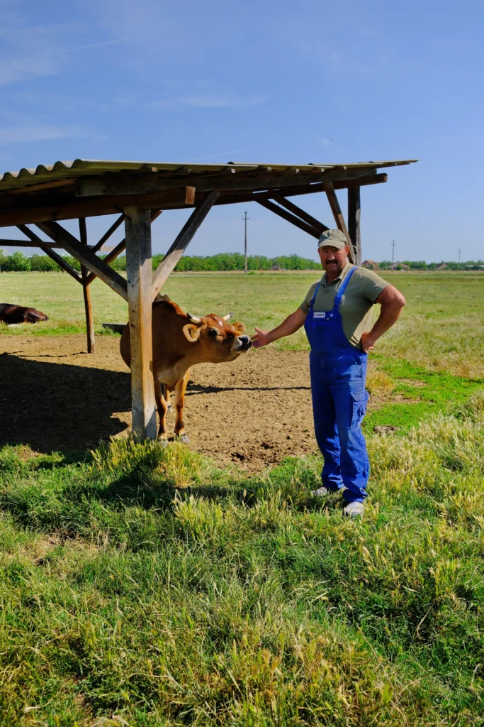 Hotea Petru, producător produse lactate