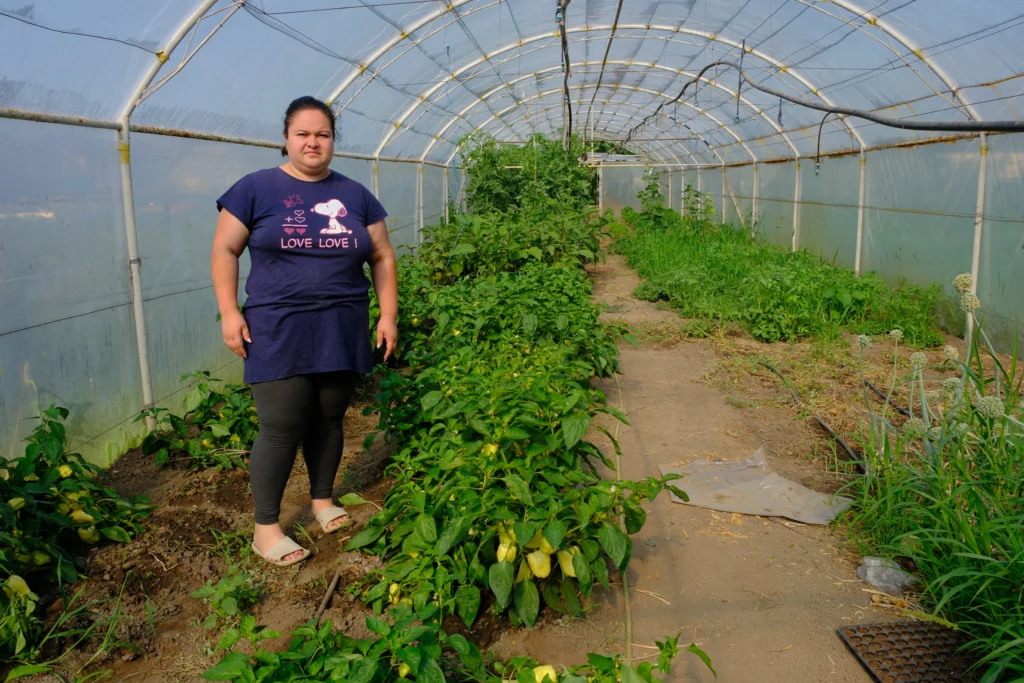 Busuioc Alexandra, cultivator legume