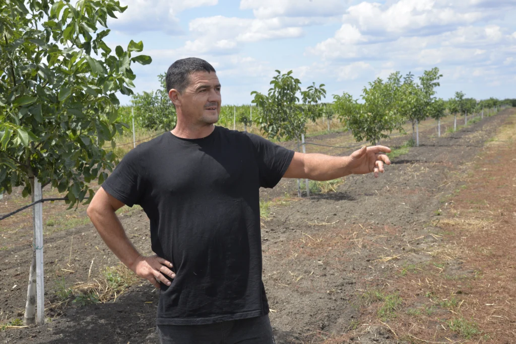 Veja Daniel, producător agricol