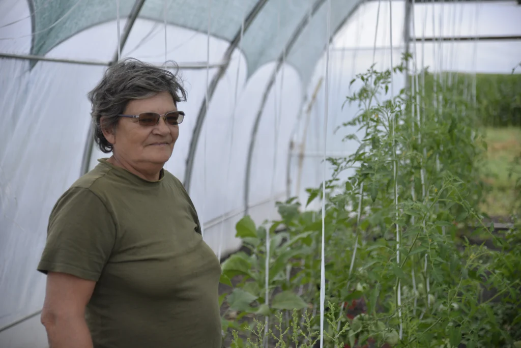 Ciuta Eva, producător legume