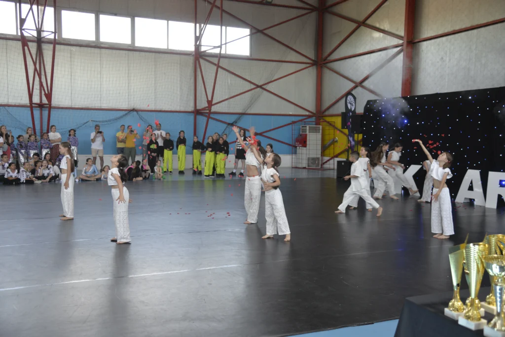 Asociația Cultural Sportivă RokArt