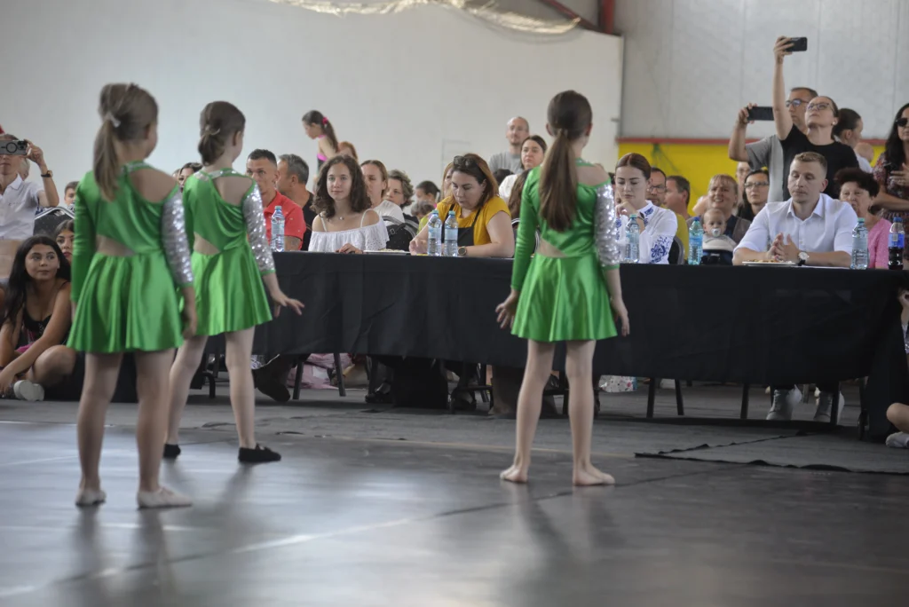 Asociația Cultural Sportivă RokArt
