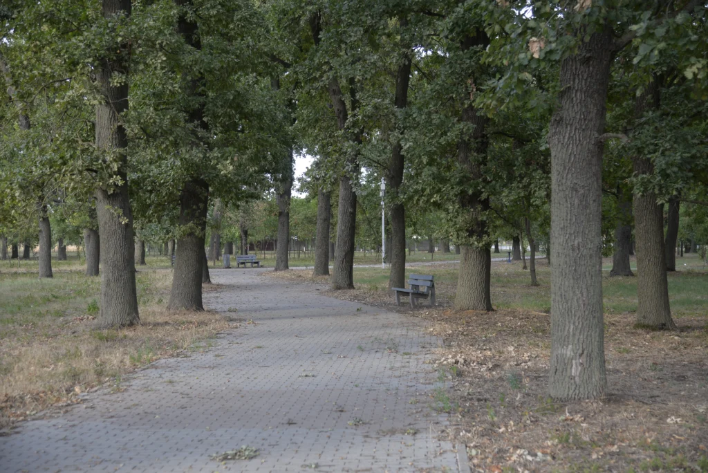 Parcul Pădurice