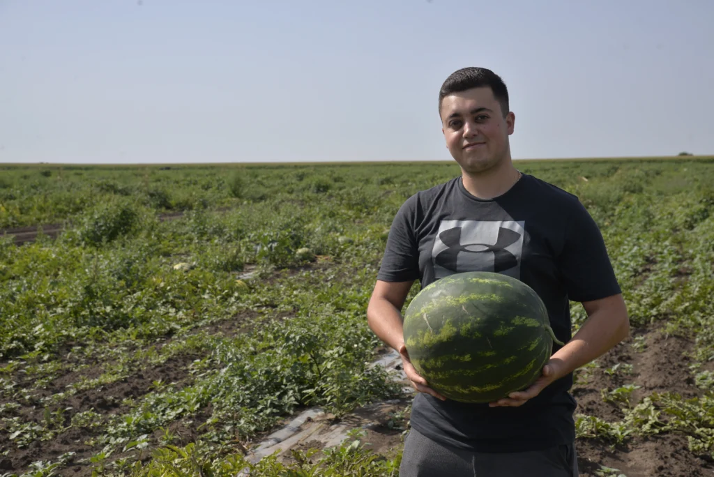 Boldica Robert-Alin, agricultor