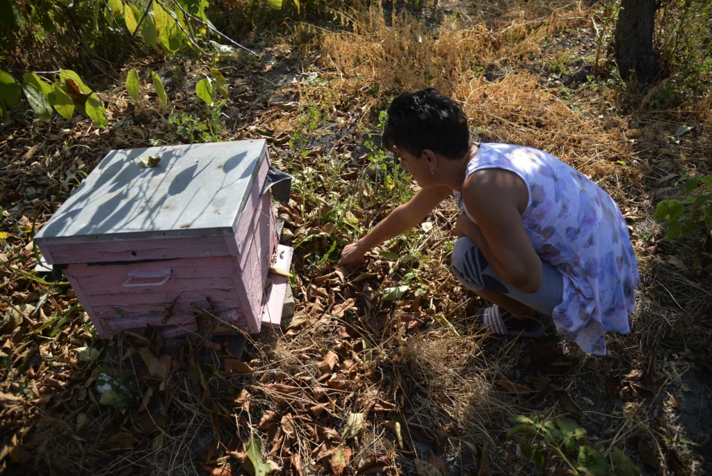 Pleșca Maria, producător agricol, apicultor și crescător de animale