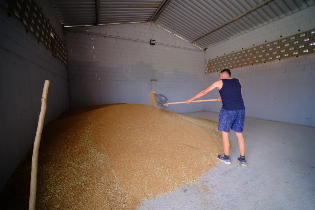 Magea Adrian, agricultor