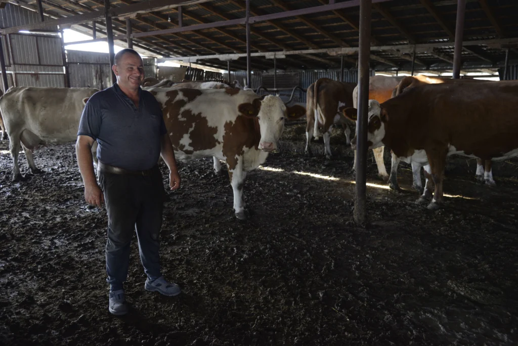 Szasz Vasile, crescător bovine