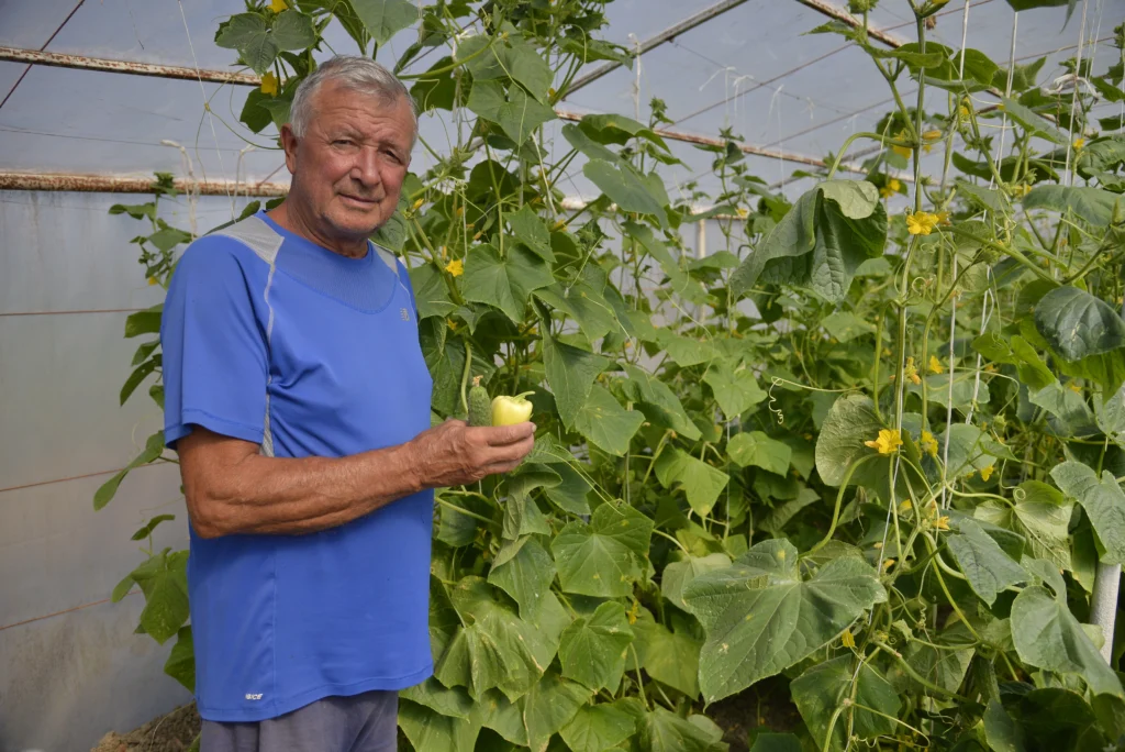 Tomoiagă Ștefan, producător de legume