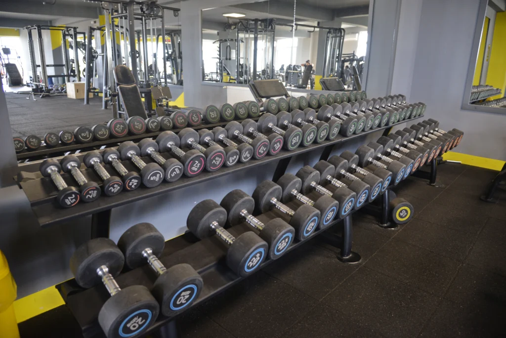 SetOn Gym S.R.L.