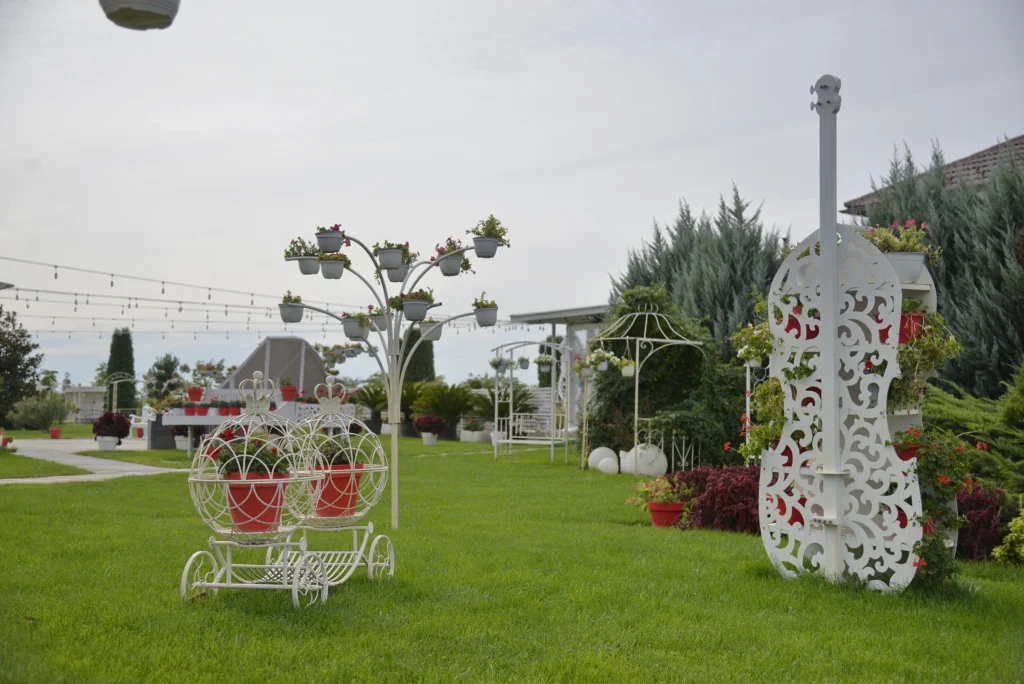 Țăran Camelia ÎI