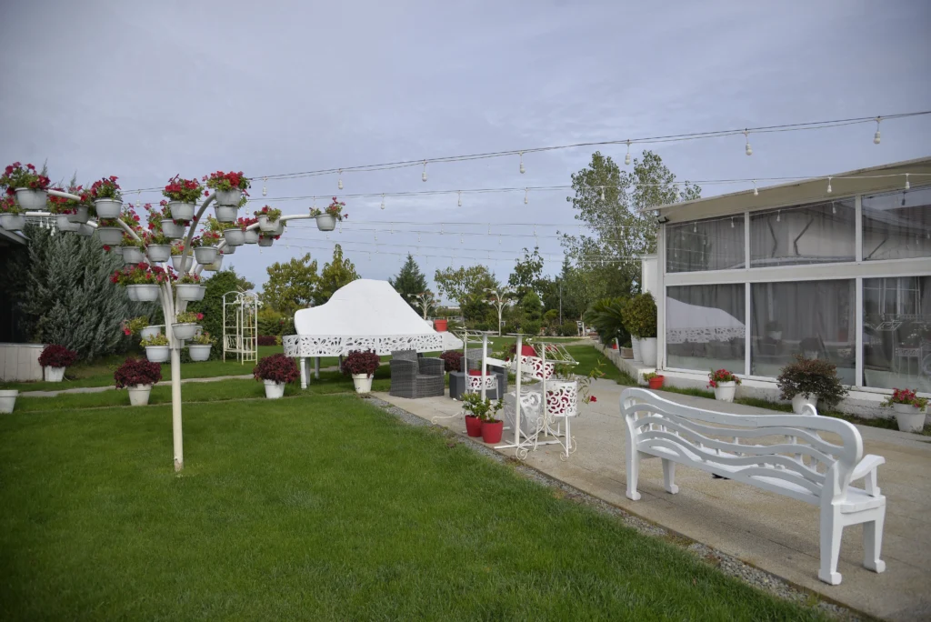 Țăran Camelia ÎI