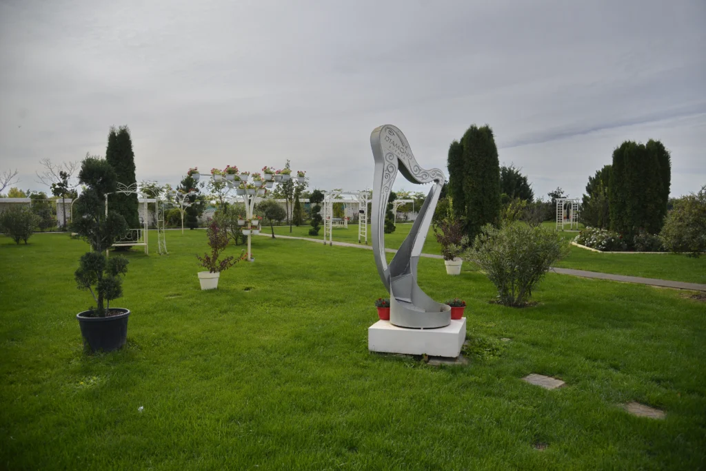 Țăran Camelia ÎI