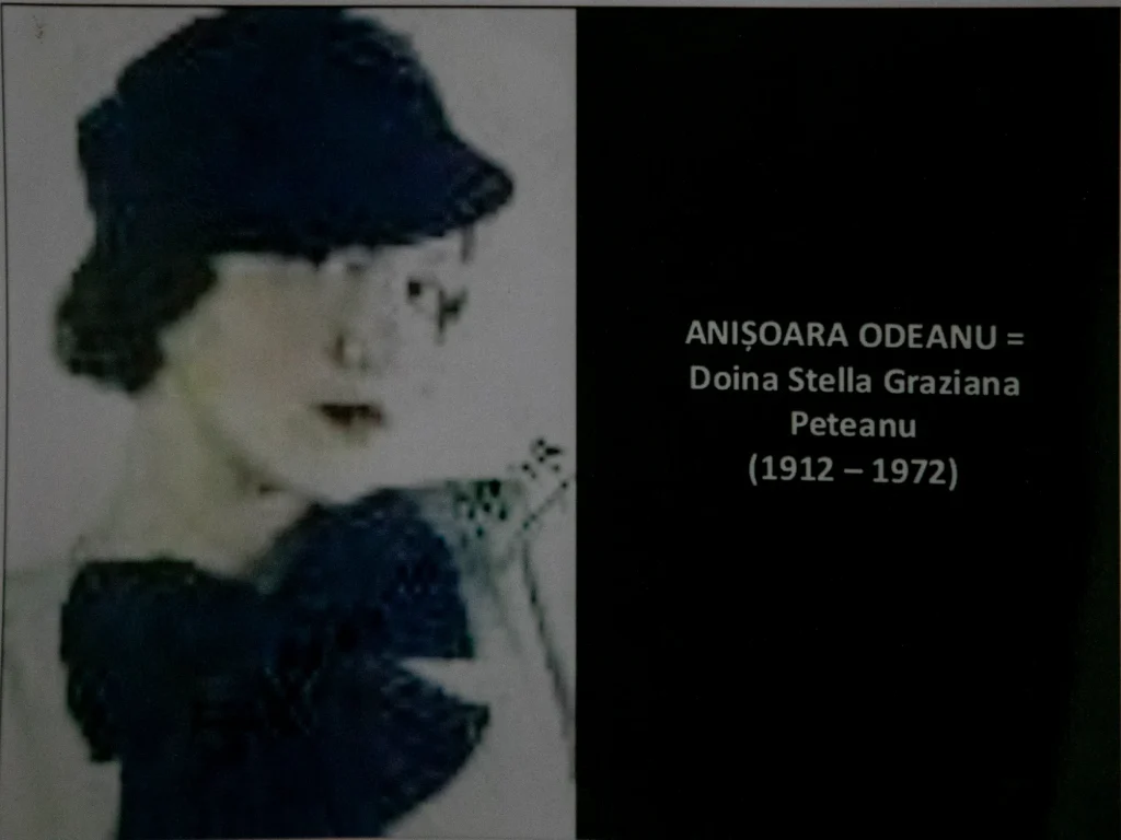 Casa memorială Anișoara Odeanu