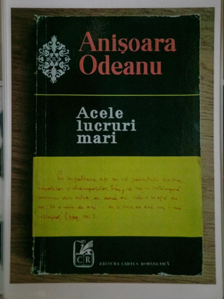 Casa memorială Anișoara Odeanu