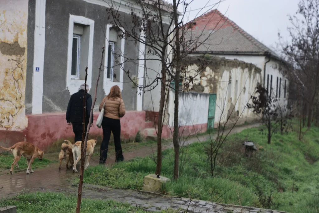 Muzeu Atelier de Etnosculptură Arh. Mihai Donici