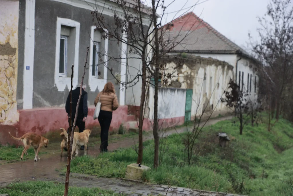 Muzeu Atelier de Etnosculptură Arh. Mihai Donici