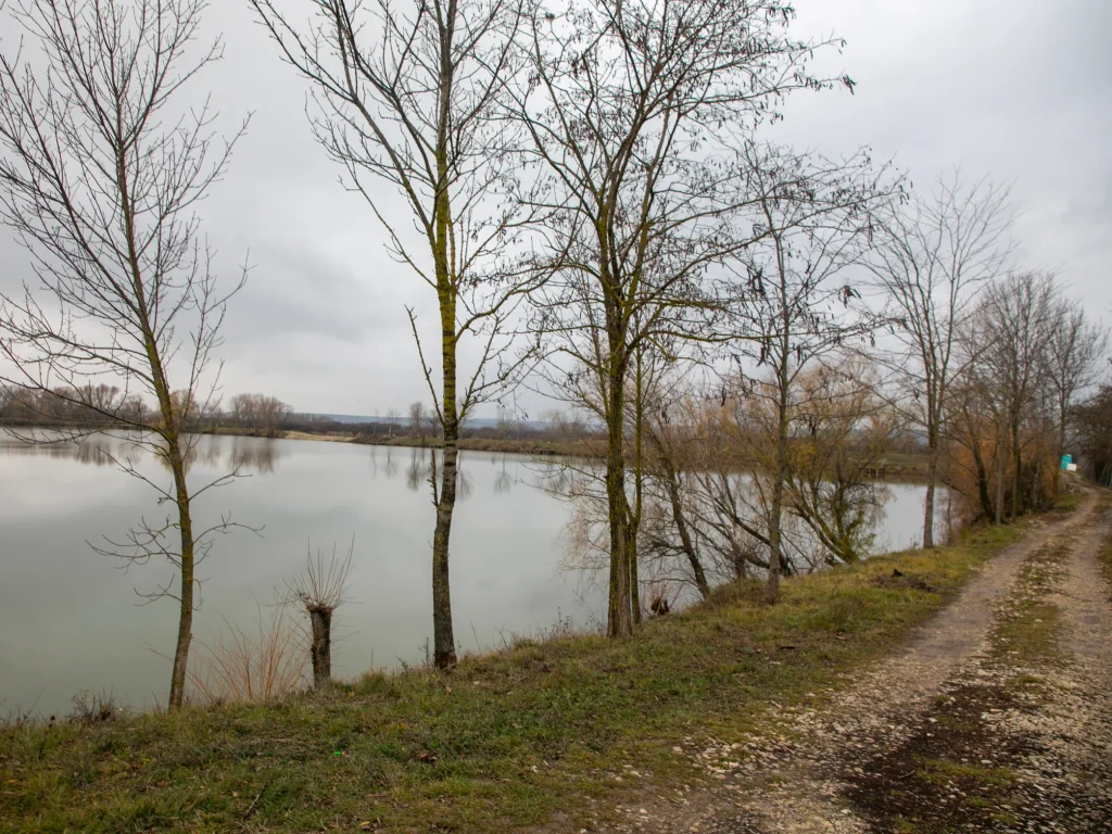 Balta de pescuit ISCIP