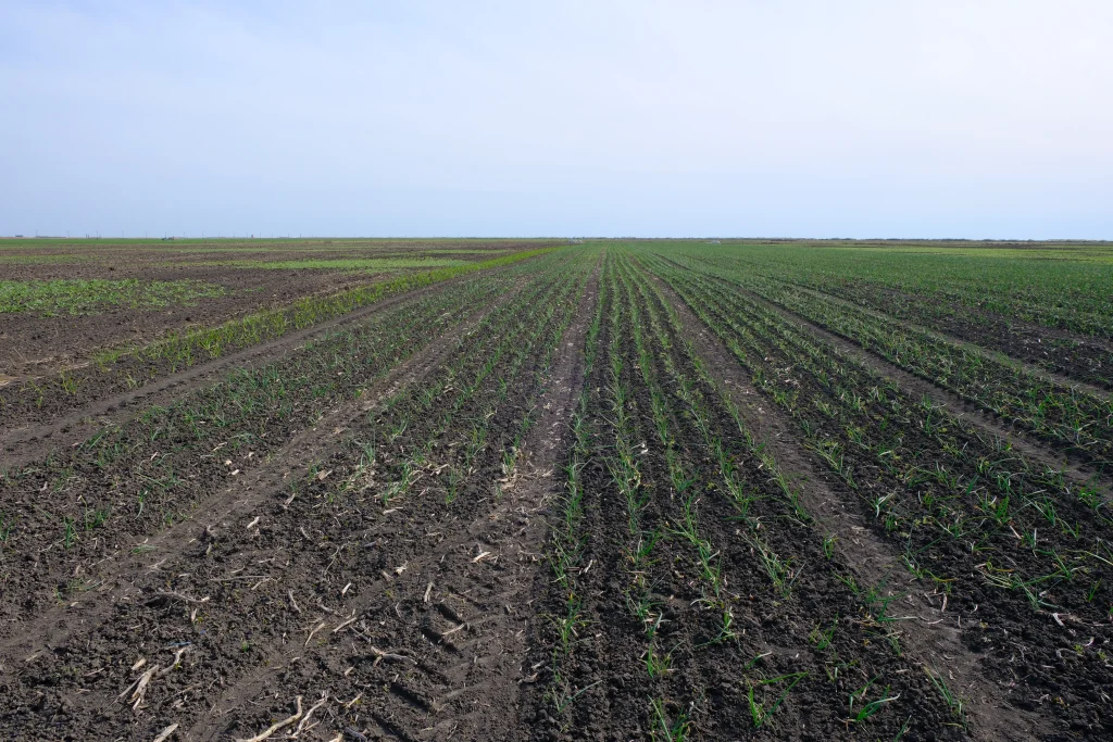 Doboșan Ciprian Gabriel, producător agricol