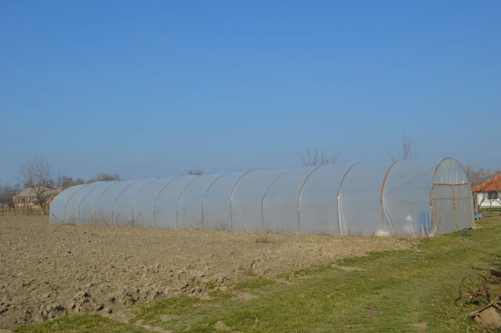 SC Agro-Bibi Giera SRL