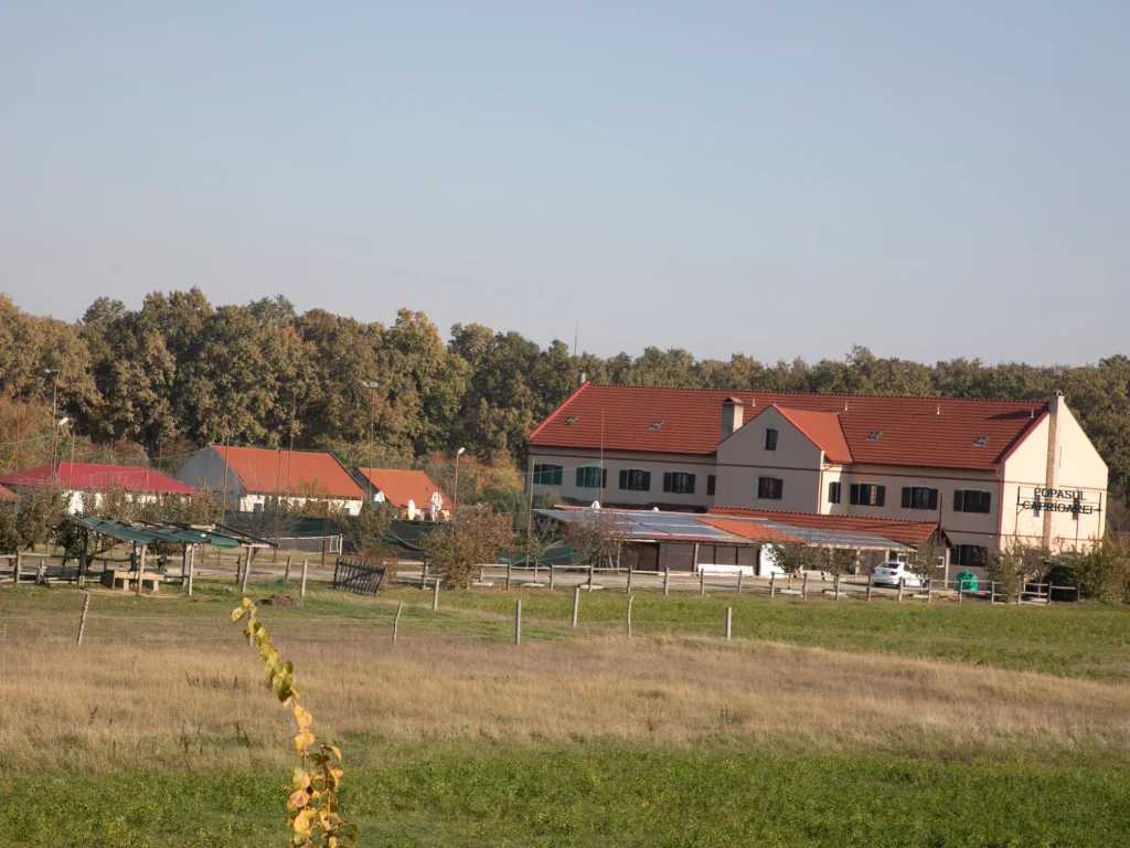 Pensiunea Popasul Căprioarei