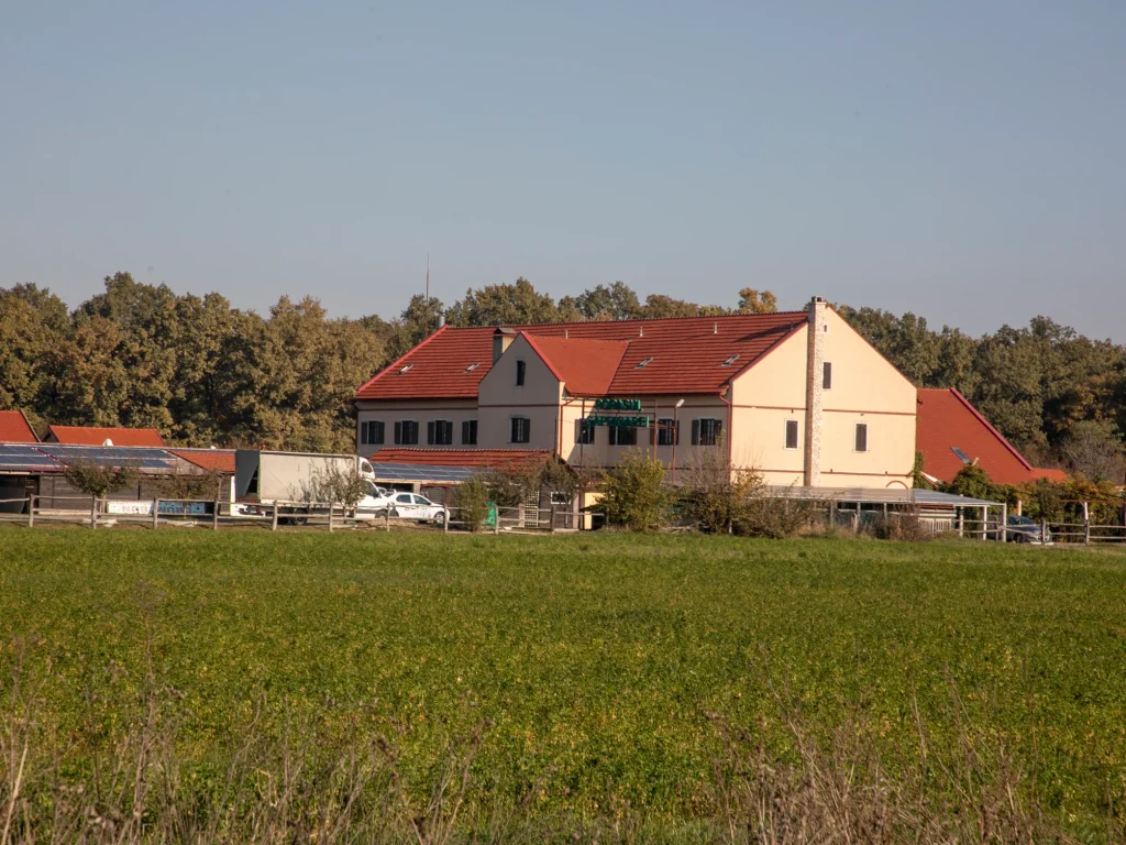 Pensiunea Popasul Căprioarei