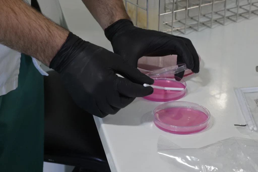 Laboratorul MS 2000