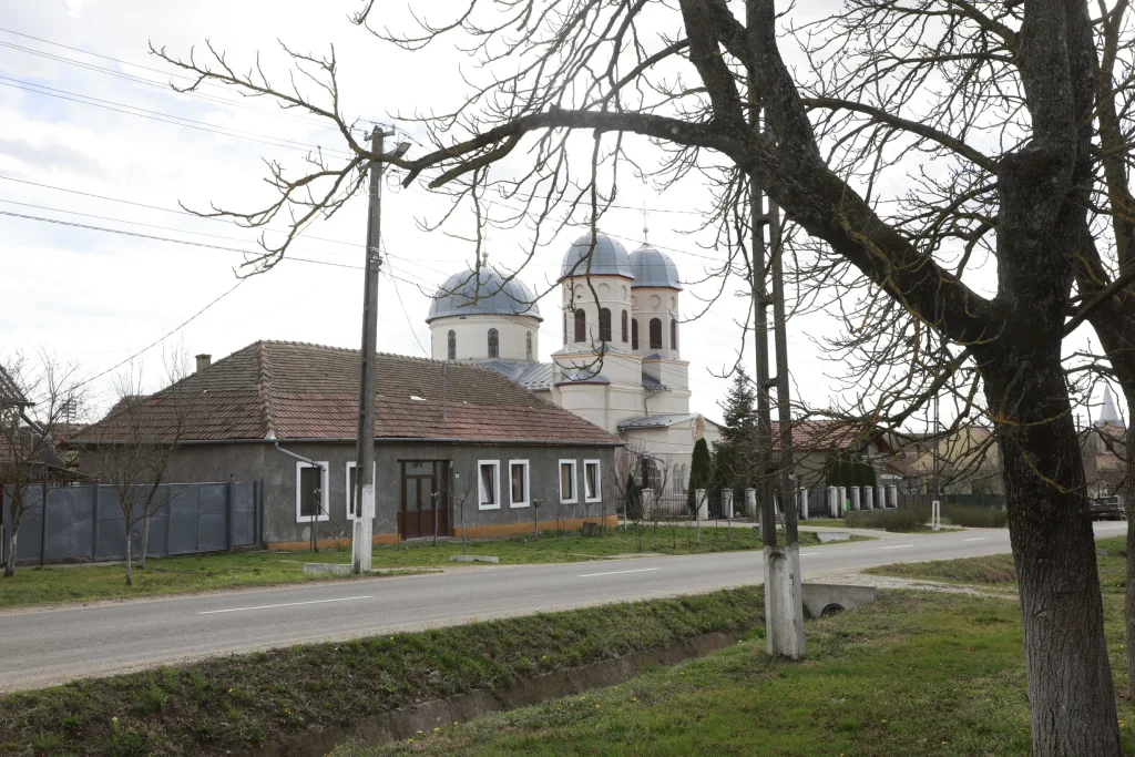 Nagy Marinela Ancuța PFA
