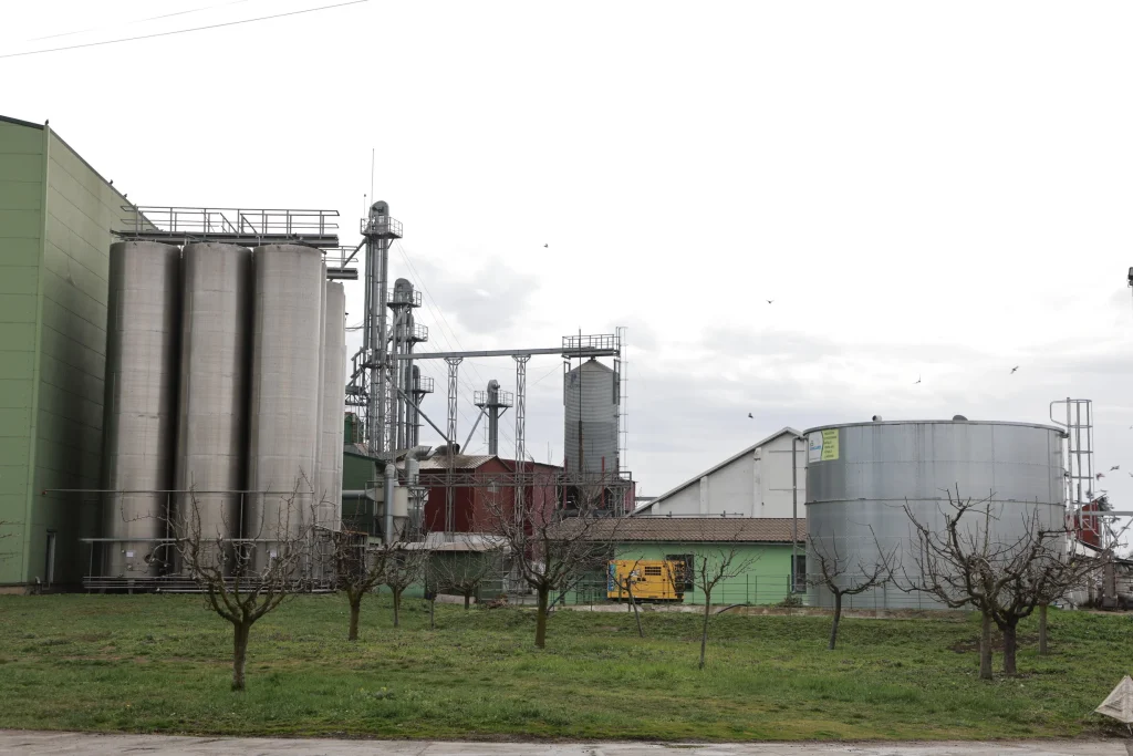 SC Soloverde SRL