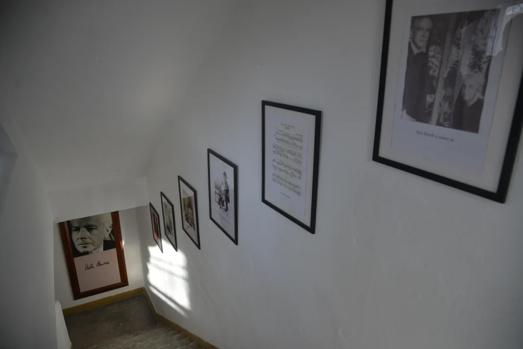 Colecția Béla Bartók din Muzeul Orașului Sânnicolau Mare