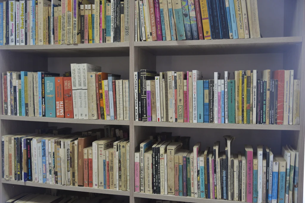 Biblioteca și Muzeul Dimitrie Țichindeal