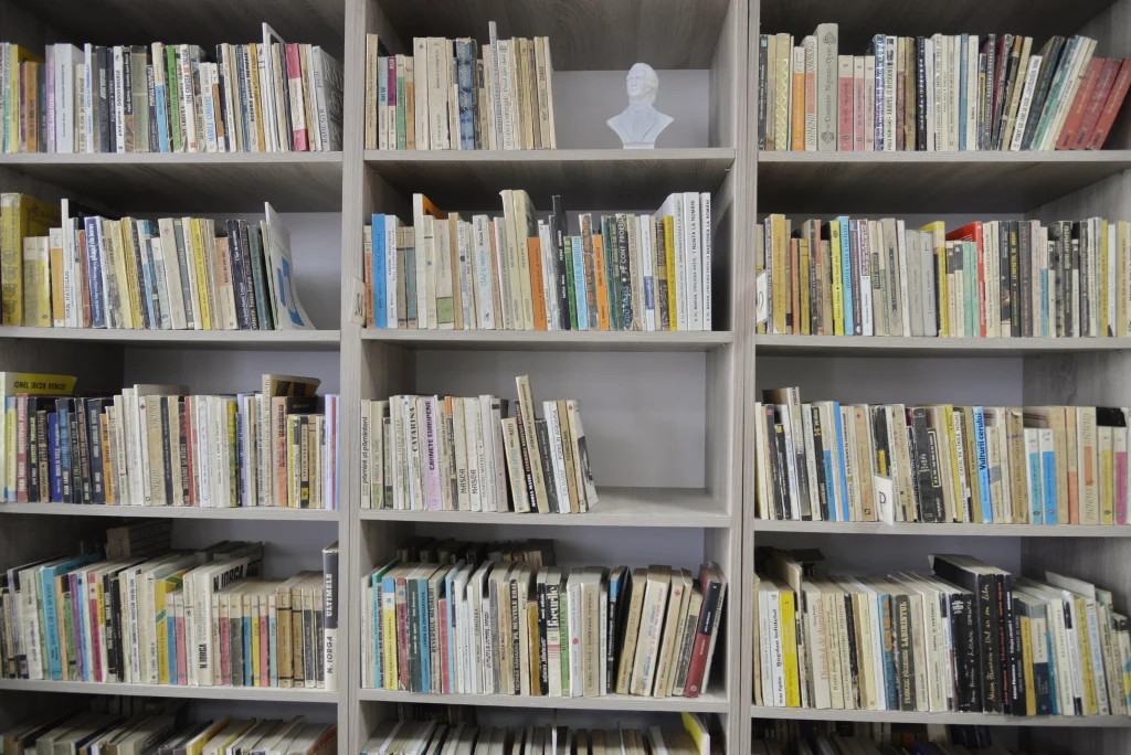 Biblioteca și Muzeul Dimitrie Țichindeal