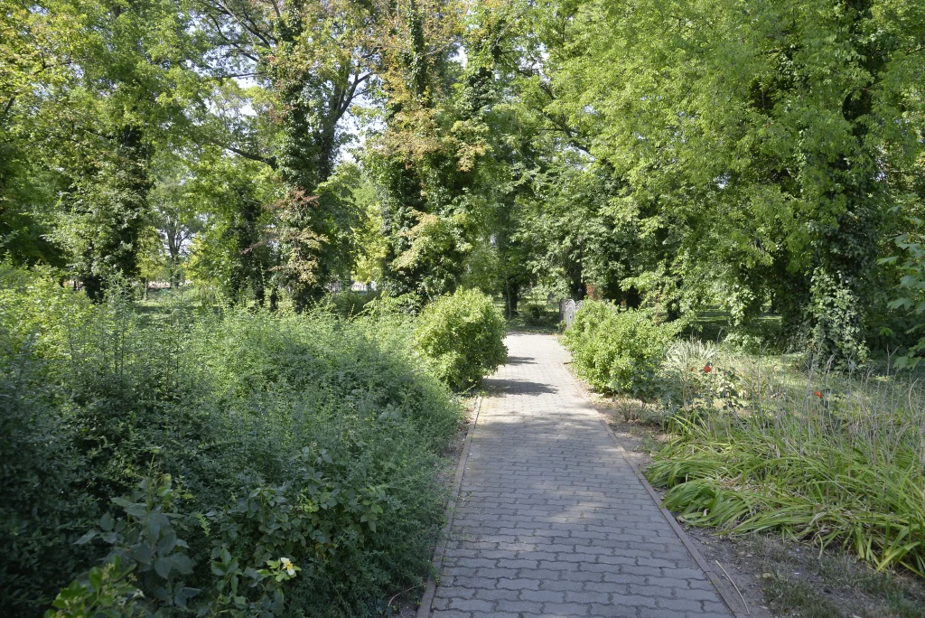 Parcul 1 Mai