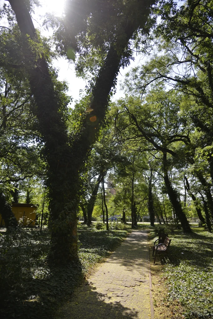 Parcul 1 Mai