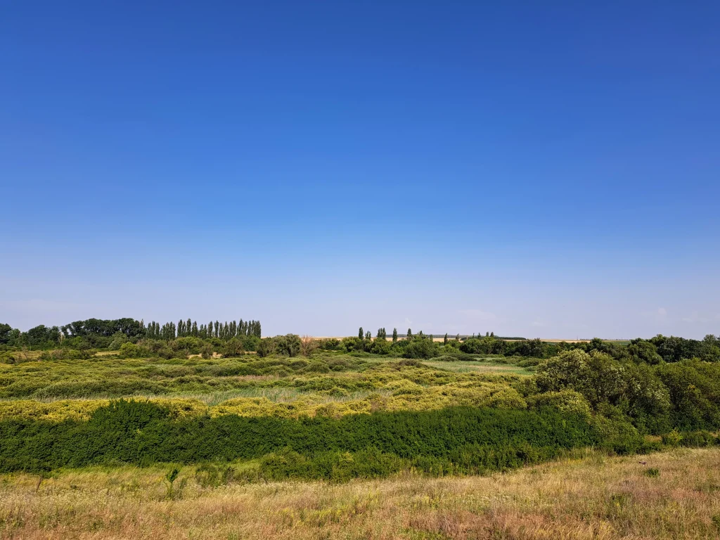 Rezervația ornitologică Satchinez