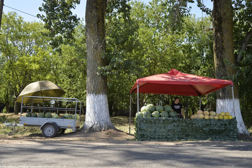 Dobricean Ilie, producător agricol