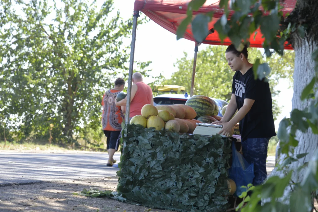 Dobricean Ilie, producător agricol