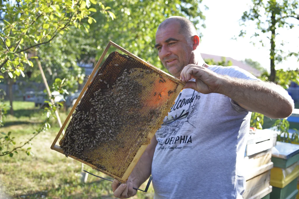 Tănasă Vasile Iulian, apicultor