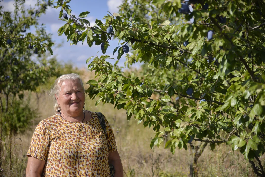 Iovi Aurelia, producător de fructe