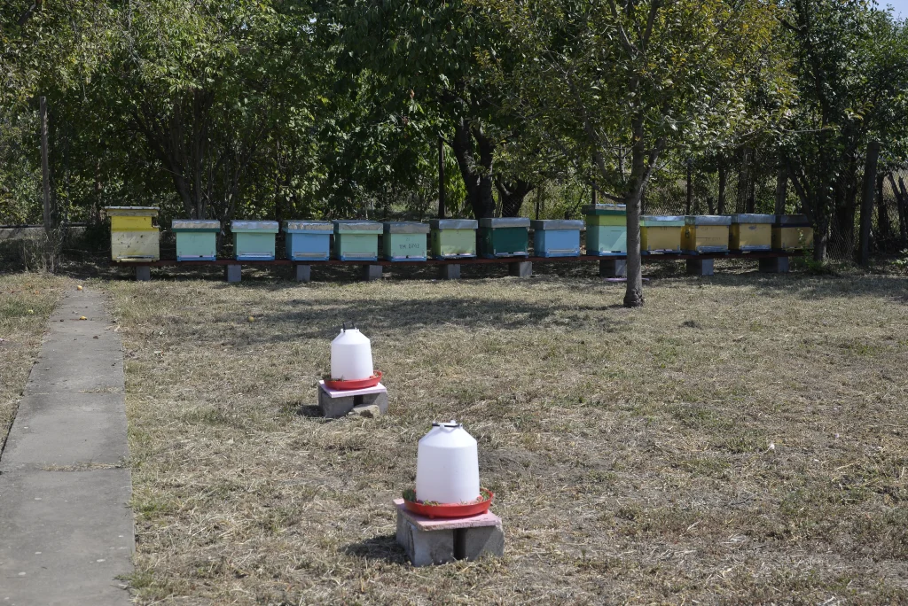 Ursaciuc Dorin PFA, apicultor