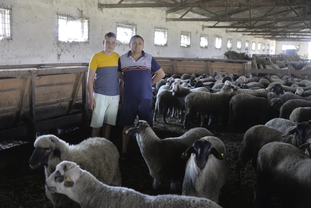 Ban Nicolae, crescător de ovine