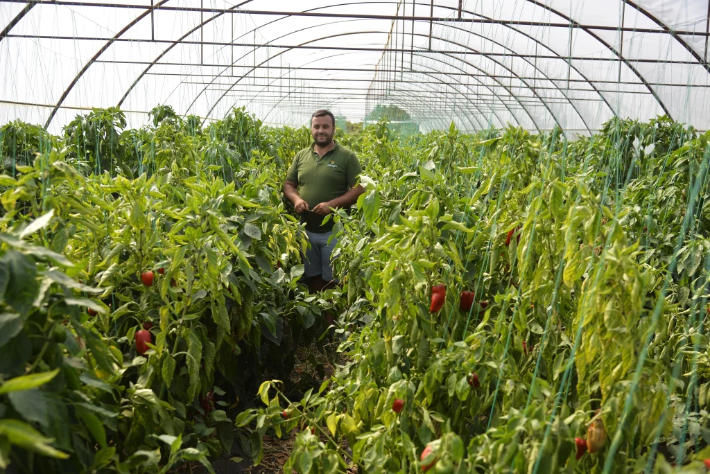 S.C. AGRO-TER DAMAF S.R.L.