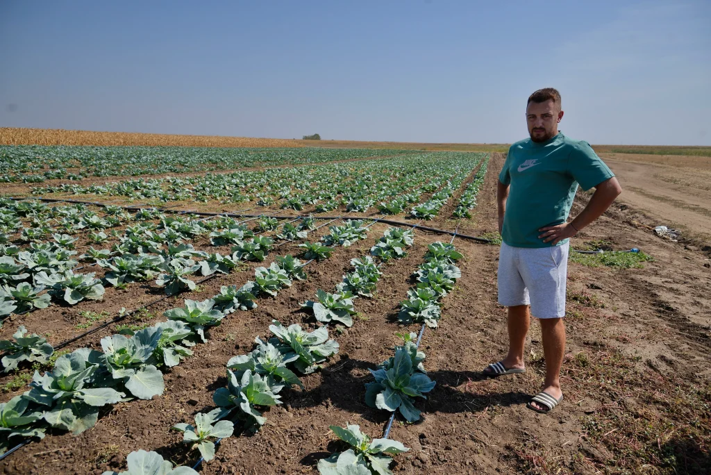 Slatină Adrian, producător legume