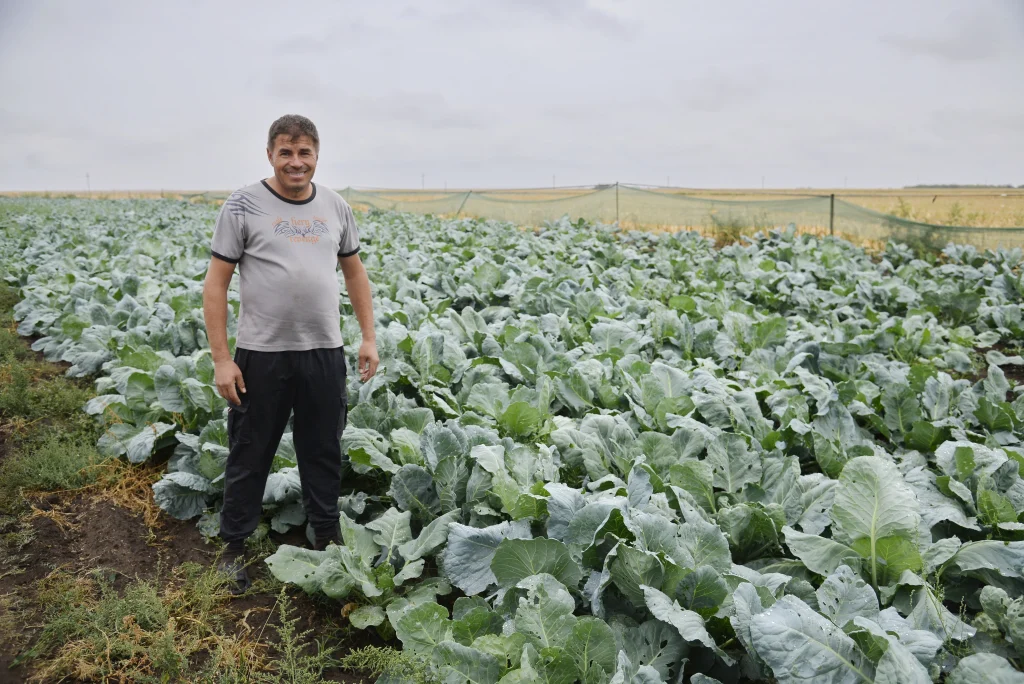 Popuș Daniel, producător de legume