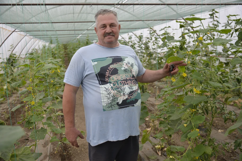 Stoican Constantin, producător răsaduri și legume